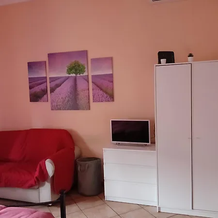 Sweet بولونيا