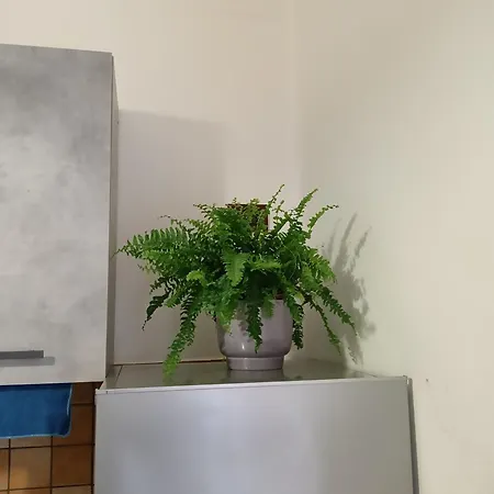 051 Apartment Bologna